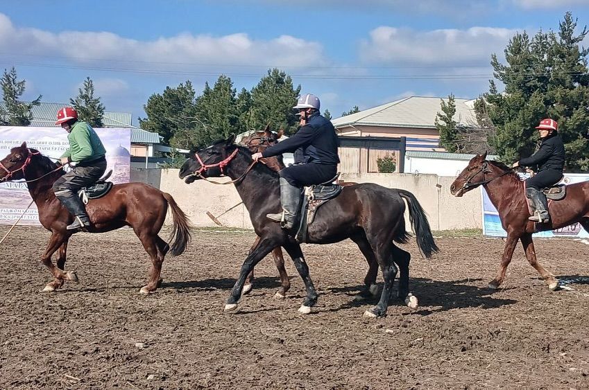 Jizzax viloyat birinchiligida maydondagi chavandozlar